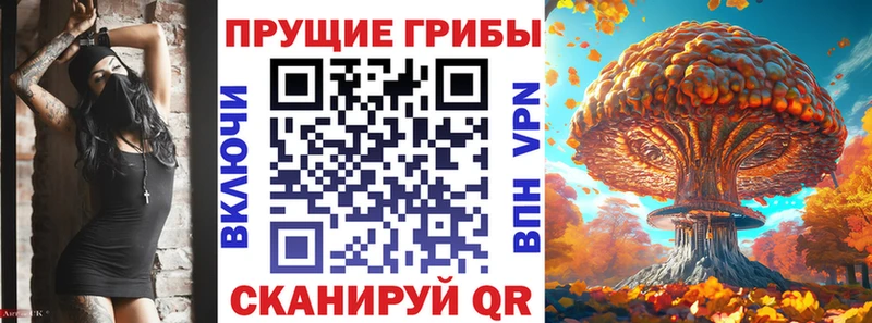 купить наркоту  кракен как войти  Галлюциногенные грибы мицелий  Севастополь 