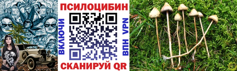 Псилоцибиновые грибы MAGIC MUSHROOMS Севастополь